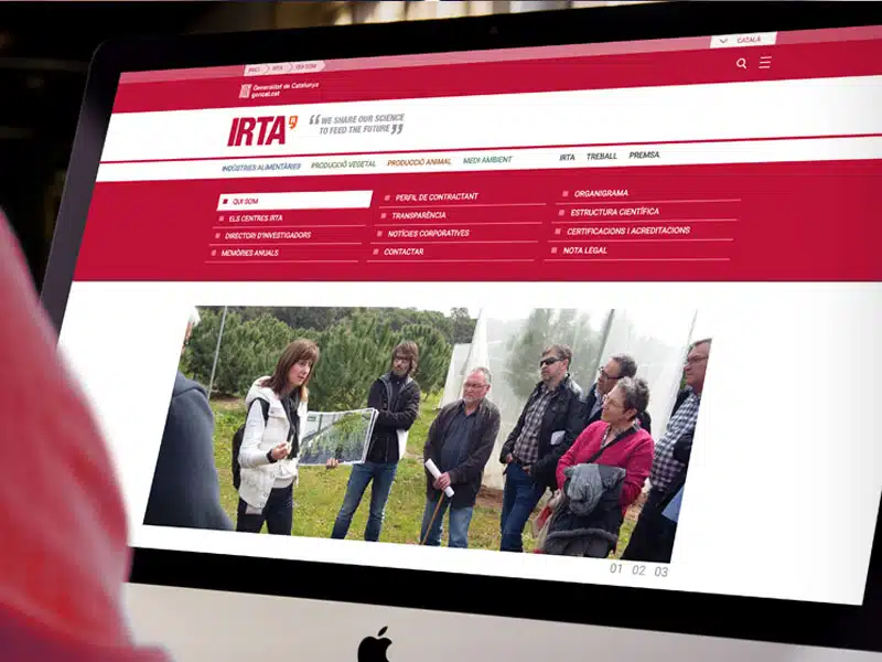 Diseño web y desarrollo web a medida en CMS WordPress - IRTA